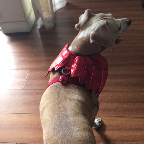 Devil Wings Harness - Picture 3 of 6